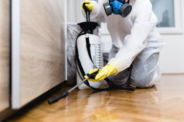 Best Bed Bug Extermination  in Oakland, NJ