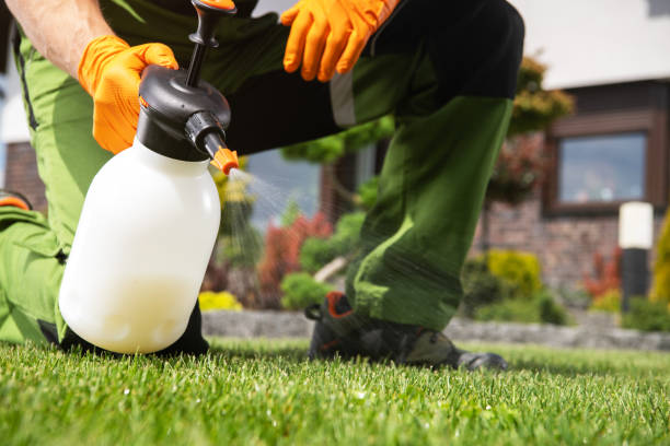 Best Mosquito Control Services  in Oakland, NJ