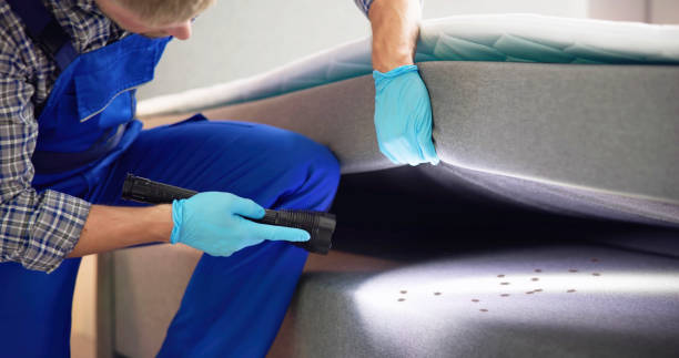 Best Ant Control Services  in Oakland, NJ