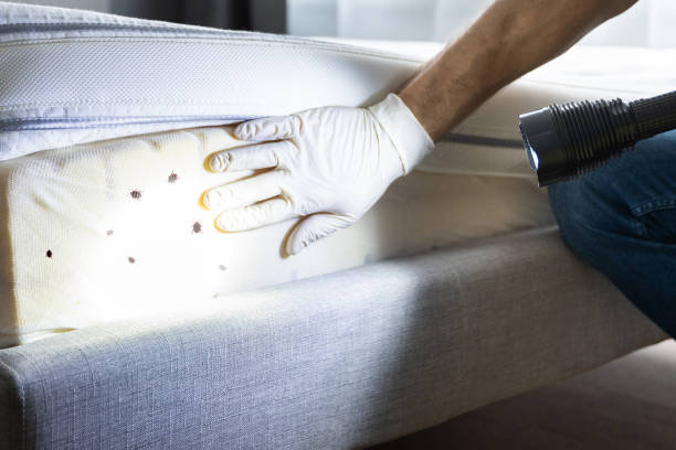 Best Wasp Removal Services  in Oakland, NJ