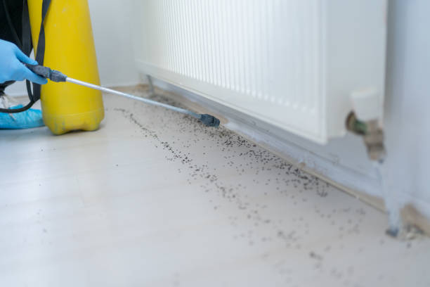 Best Flea Control Services  in Oakland, NJ